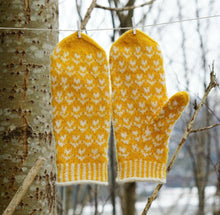 Last inn bildet i Galleri-visningsprogrammet, April votter