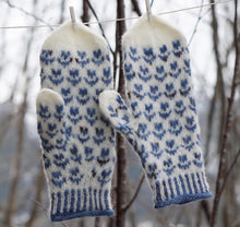 Last inn bildet i Galleri-visningsprogrammet, April votter