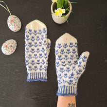 Last inn bildet i Galleri-visningsprogrammet, April votter