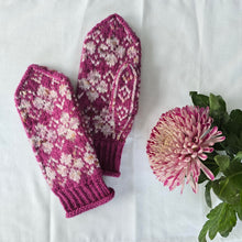 Last inn bildet i Galleri-visningsprogrammet, Engan votter