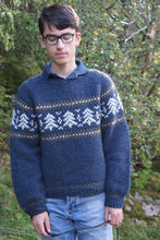 Last inn bildet i Galleri-visningsprogrammet, Frostskog genser