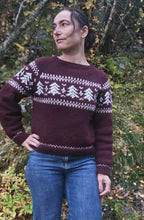 Last inn bildet i Galleri-visningsprogrammet, Frostskog genser