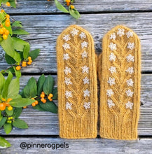 Last inn bildet i Galleri-visningsprogrammet, Kamillevotter