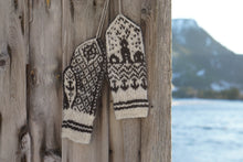 Last inn bildet i Galleri-visningsprogrammet, Kystvotter