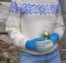 Last inn bildet i Galleri-visningsprogrammet, Melkeveienvotter