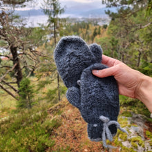 Last inn bildet i Galleri-visningsprogrammet, Noel votter