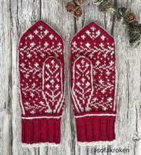 Last inn bildet i Galleri-visningsprogrammet, Erikavotter