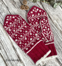 Last inn bildet i Galleri-visningsprogrammet, Erikavotter