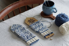 Last inn bildet i Galleri-visningsprogrammet, Erikavotter