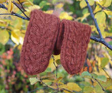 Last inn bildet i Galleri-visningsprogrammet, Fridesflettevotter