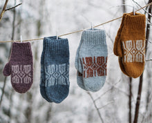 Last inn bildet i Galleri-visningsprogrammet, Gabrielvotter