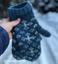 Last inn bildet i Galleri-visningsprogrammet, Januarnattvotter