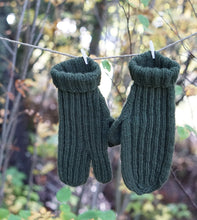 Last inn bildet i Galleri-visningsprogrammet, Sanders jaktvotter