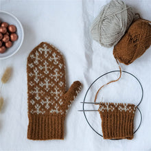 Last inn bildet i Galleri-visningsprogrammet, Januarnattvotter