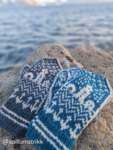 Last inn bildet i Galleri-visningsprogrammet, Kystvotter
