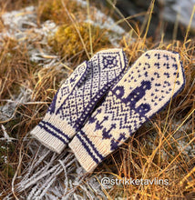 Last inn bildet i Galleri-visningsprogrammet, Kystvotter
